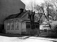 313_56_11.jpg